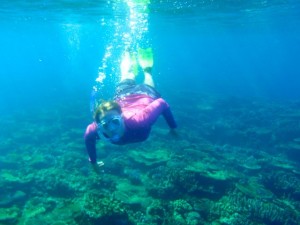 Snorkelling Adventures with Island Spirit