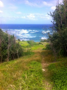 Barbados ocean views